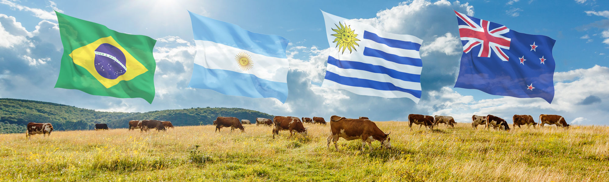 tulling meat import
